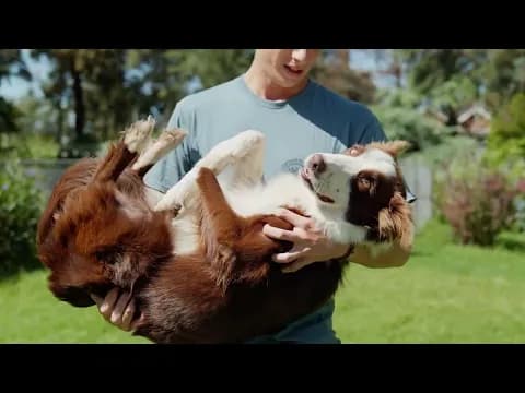 Miniatura del video del producto