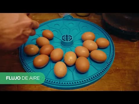 Miniatura del video del producto