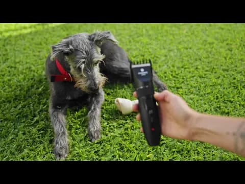 Miniatura del video del producto
