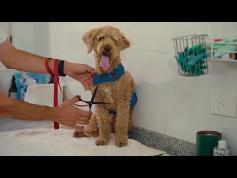 Miniatura del video del producto