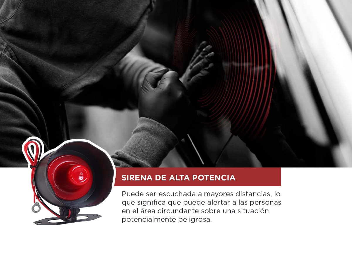 Imagen 3 del producto