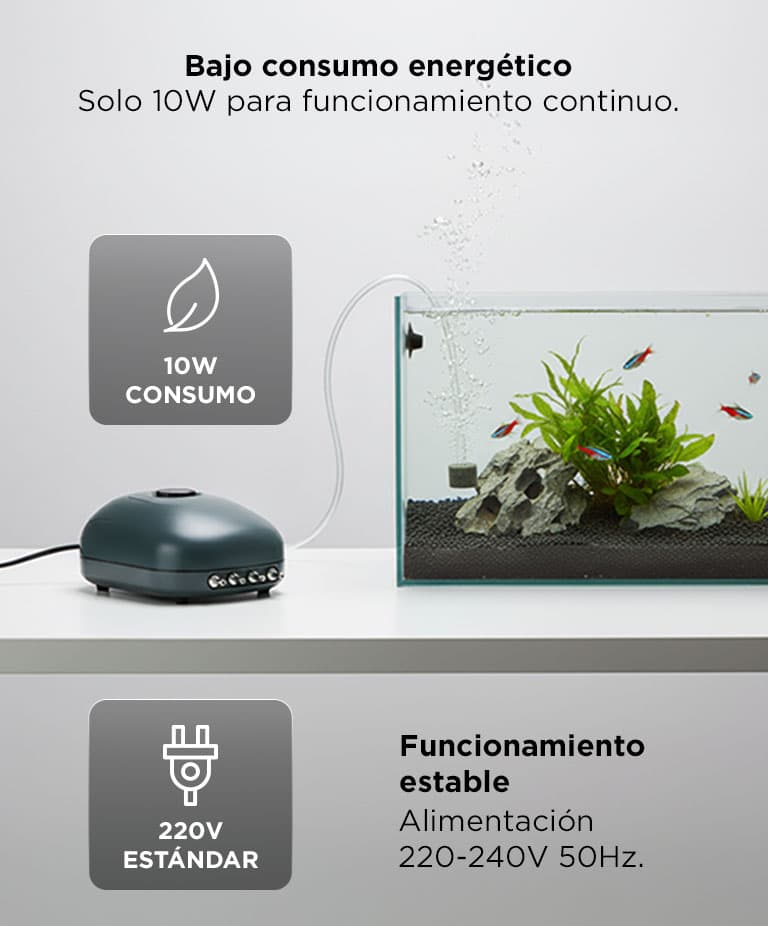 Imagen 5 del producto