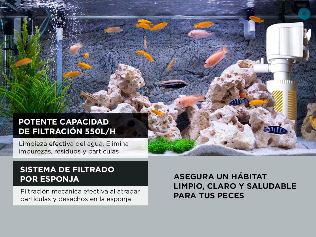 Imagen 3 del producto