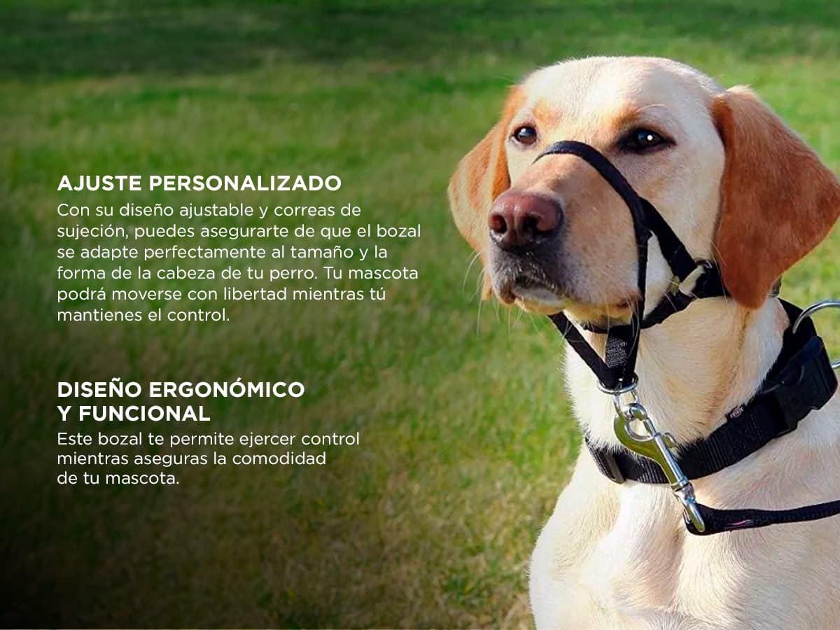 Imagen 4 del producto