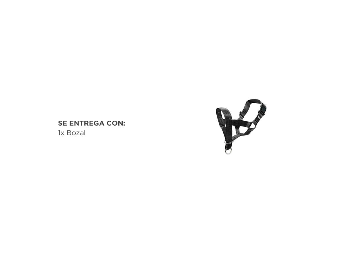 Imagen 6 del producto