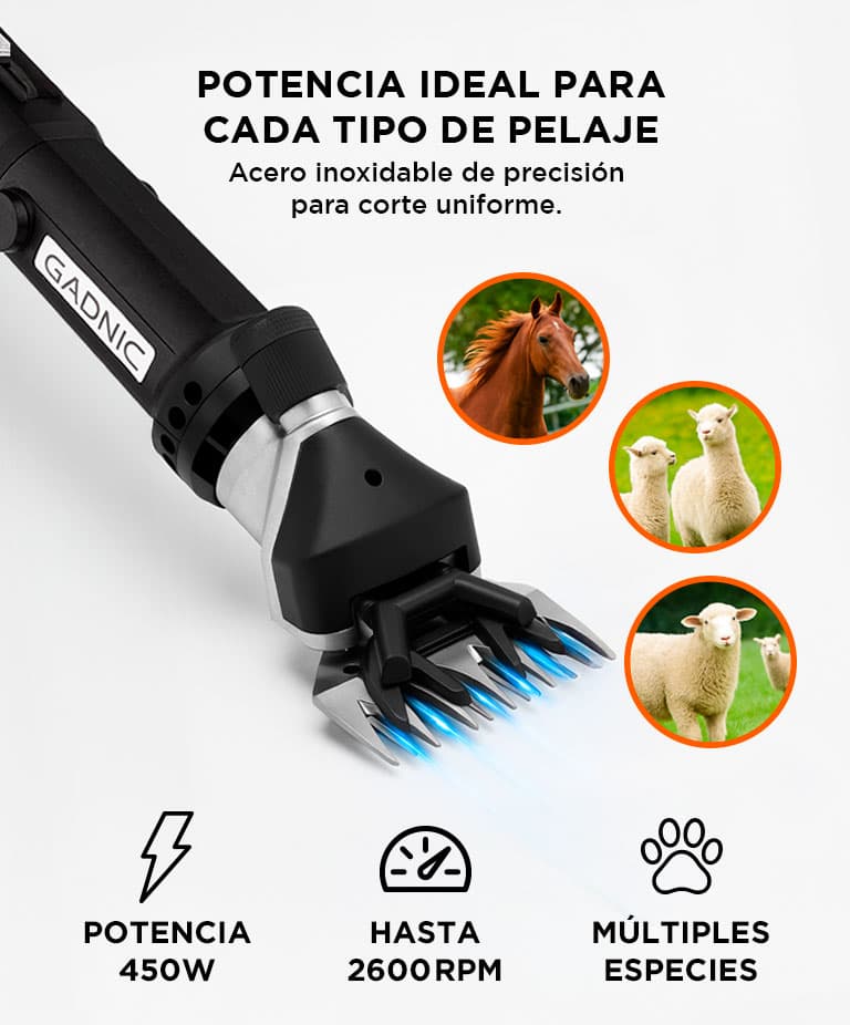 Imagen 4 del producto