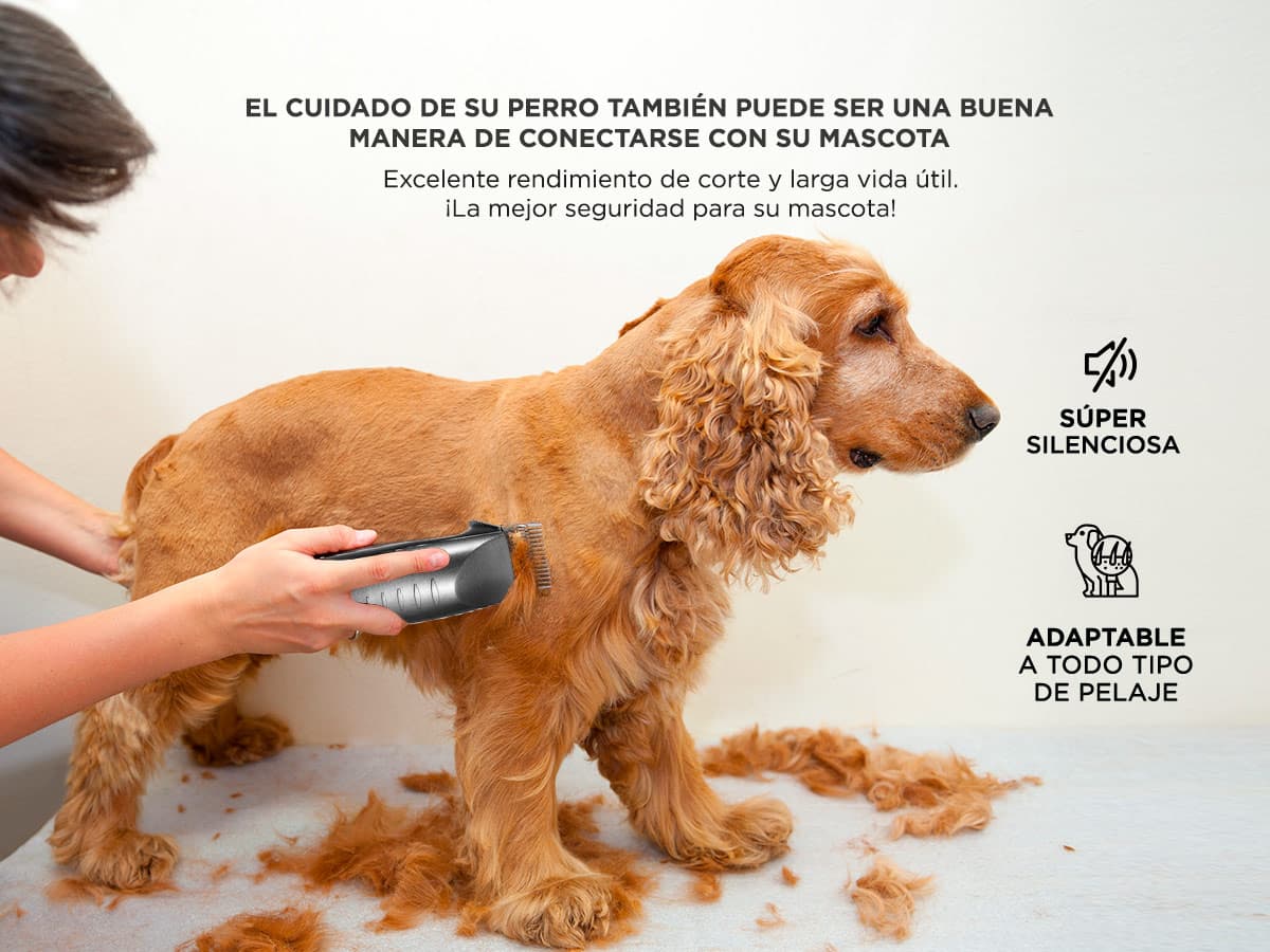 Imagen 5 del producto