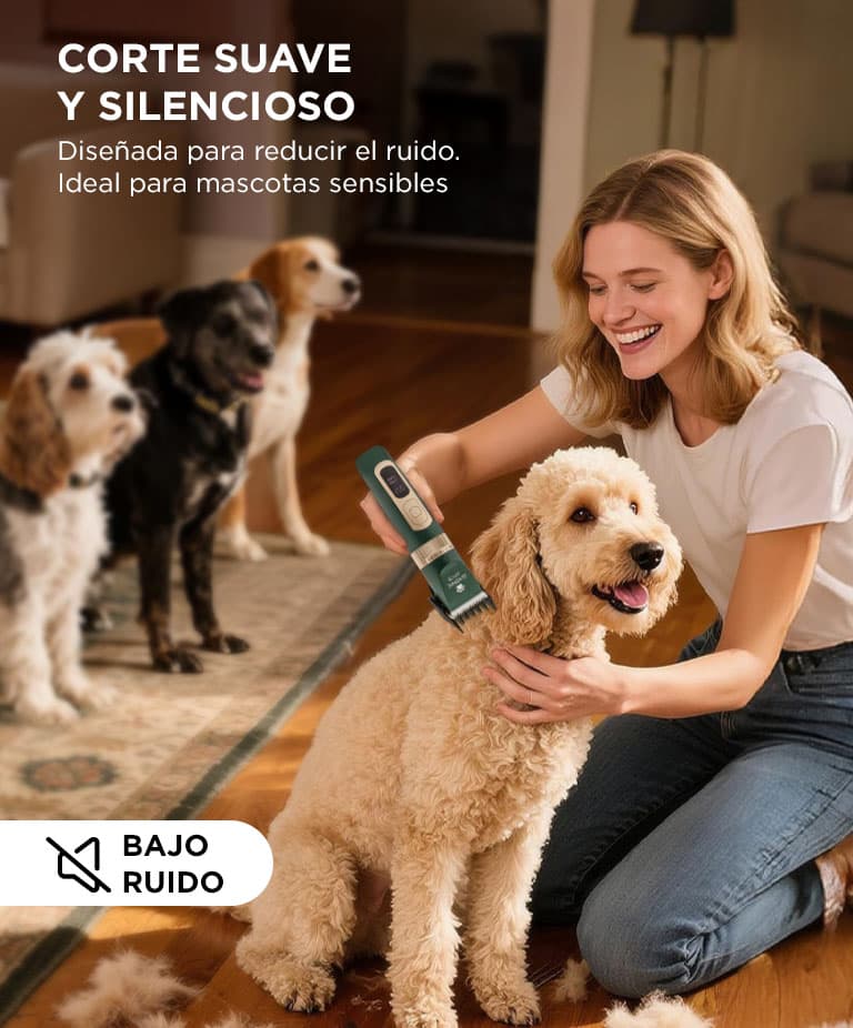 Imagen 6 del producto