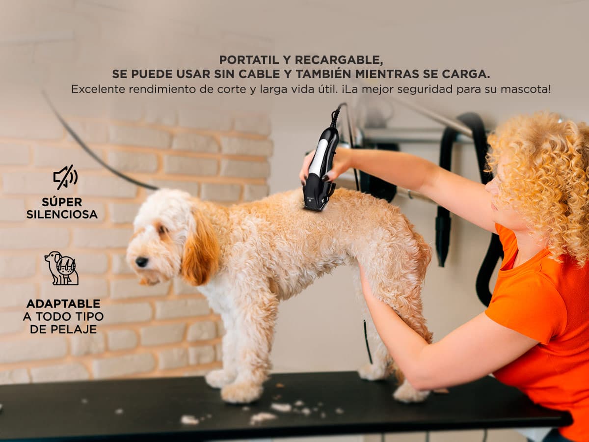 Imagen 3 del producto