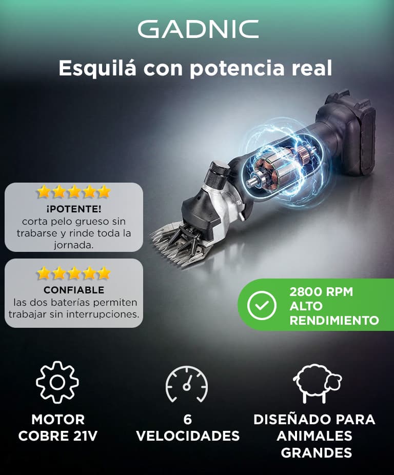Imagen 2 del producto