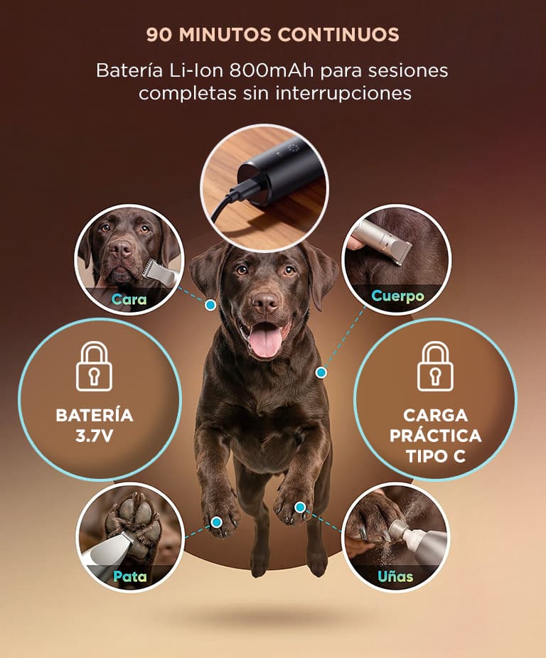 Imagen 3 del producto
