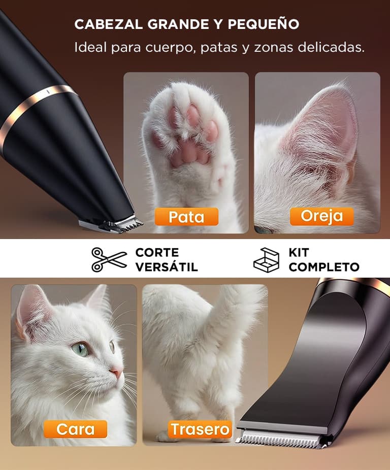 Imagen 5 del producto