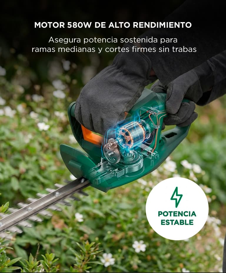 Imagen 3 del producto