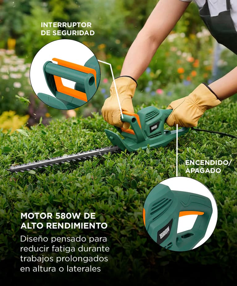Imagen 5 del producto