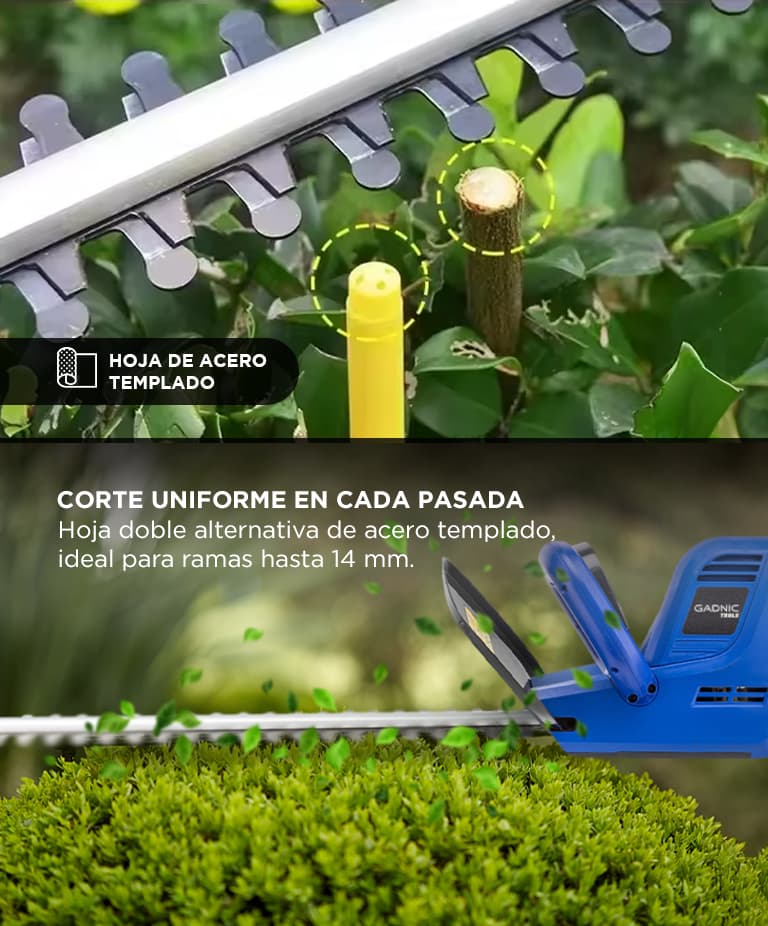 Imagen 3 del producto
