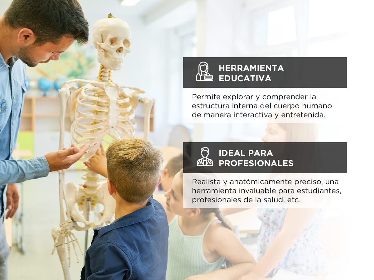 Imagen 3 del producto