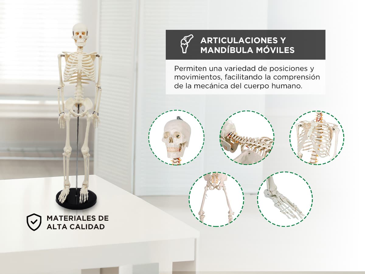 Imagen 4 del producto