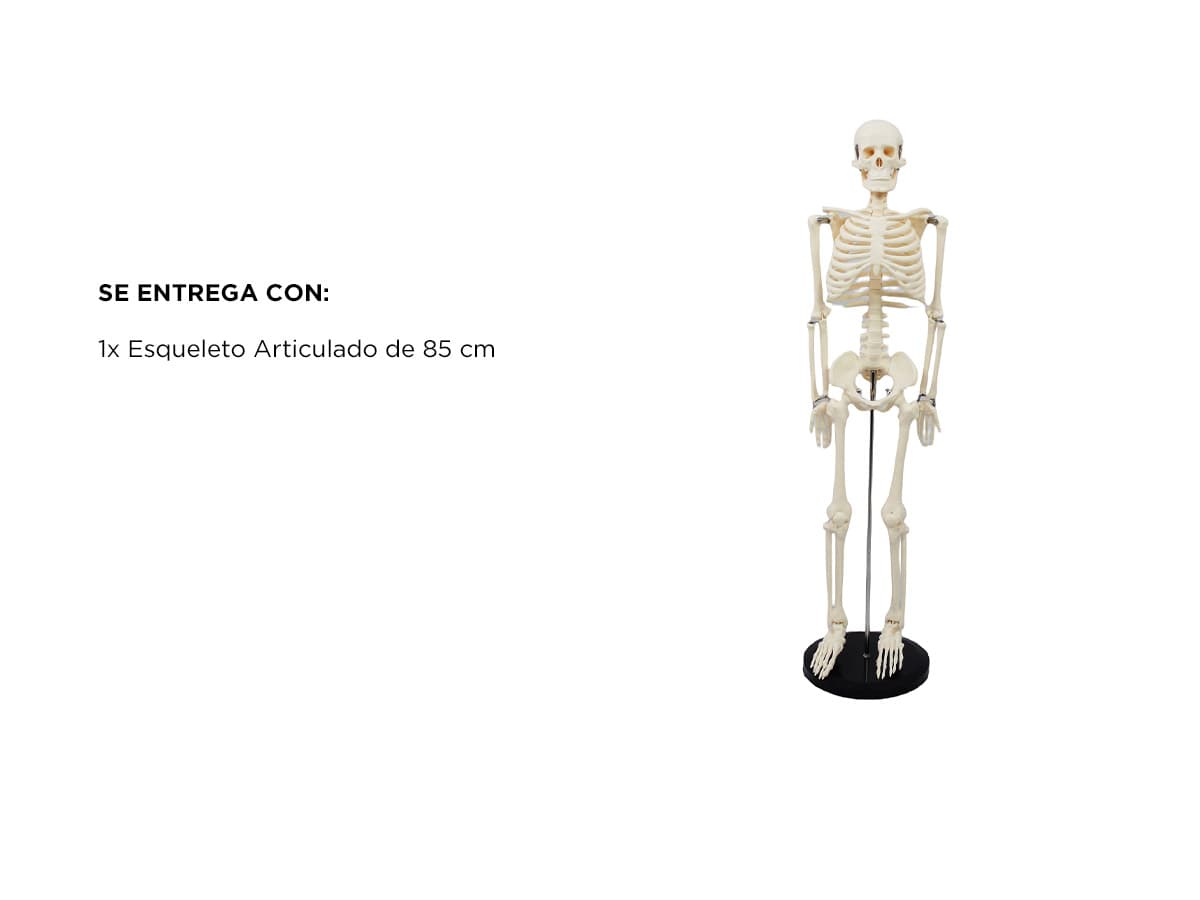 Imagen 6 del producto