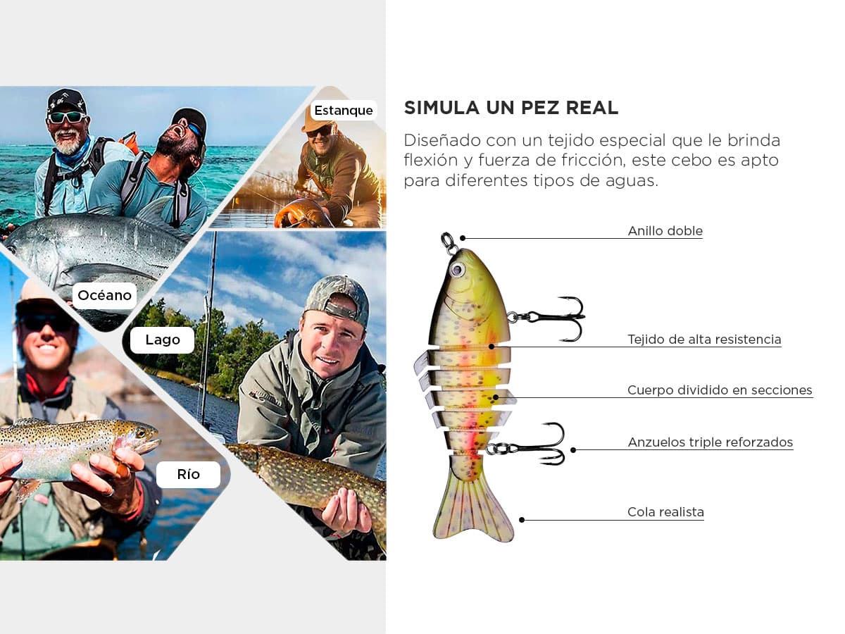 Imagen 3 del producto