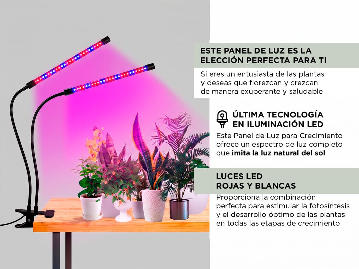 Imagen 3 del producto