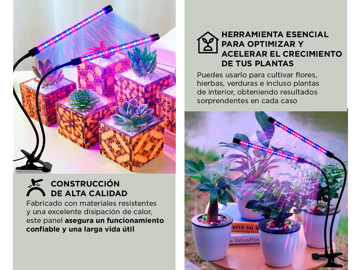 Imagen 5 del producto