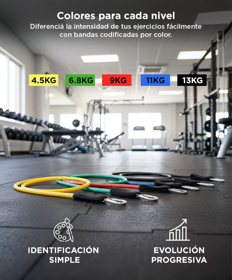 Imagen 3 del producto