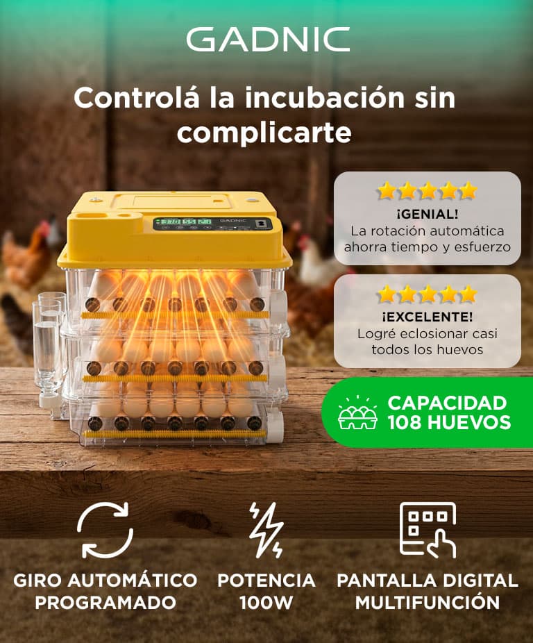 Imagen 2 del producto