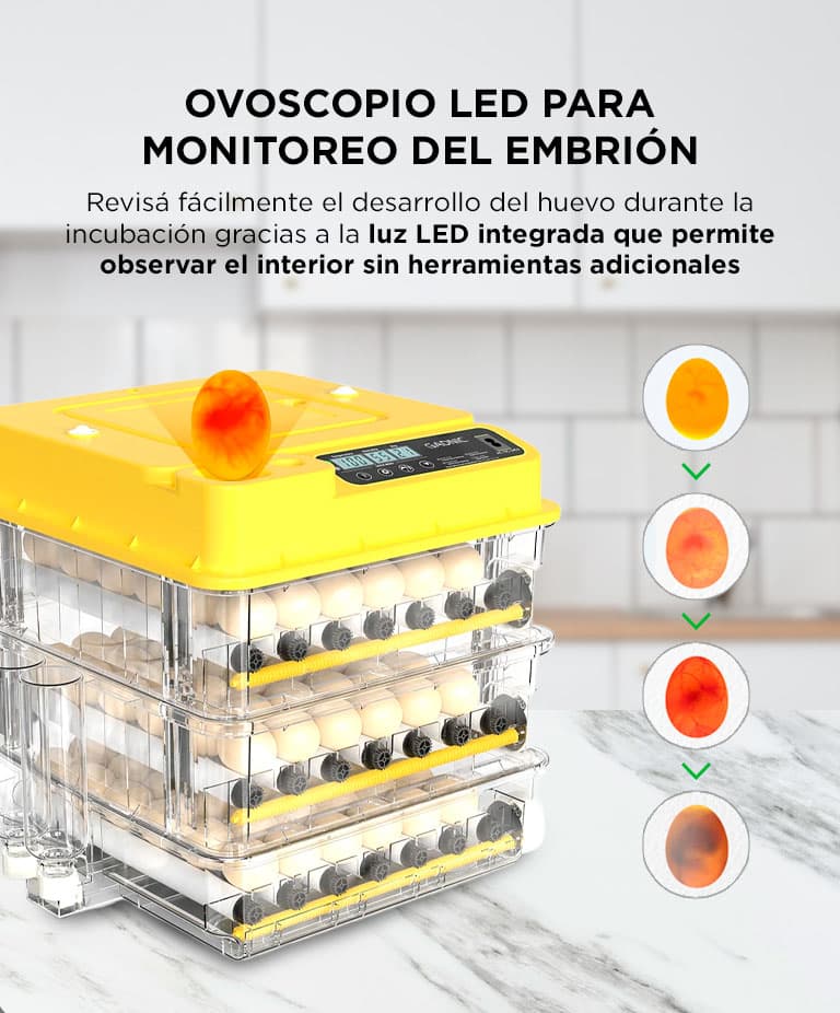 Imagen 5 del producto