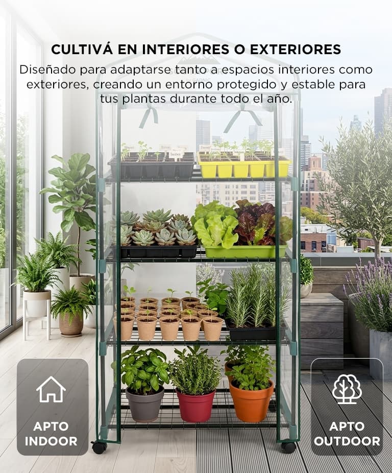 Imagen 5 del producto