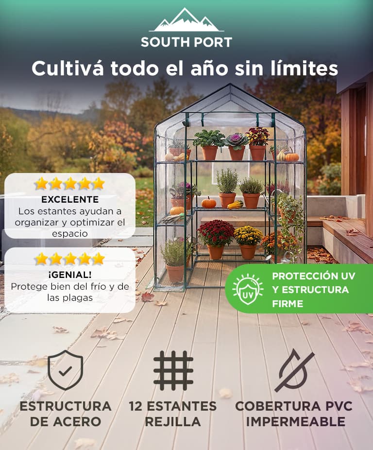 Imagen 2 del producto