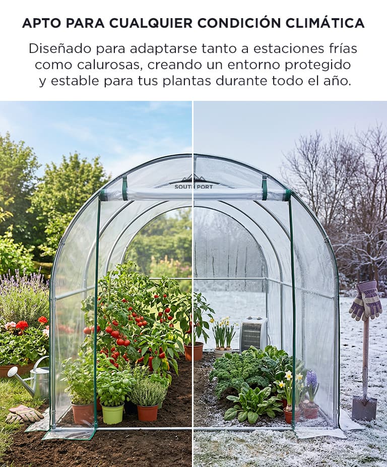 Imagen 5 del producto