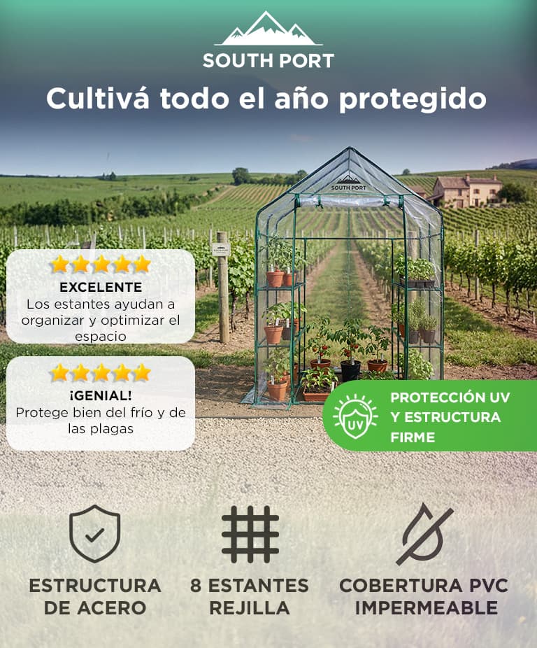 Imagen 2 del producto