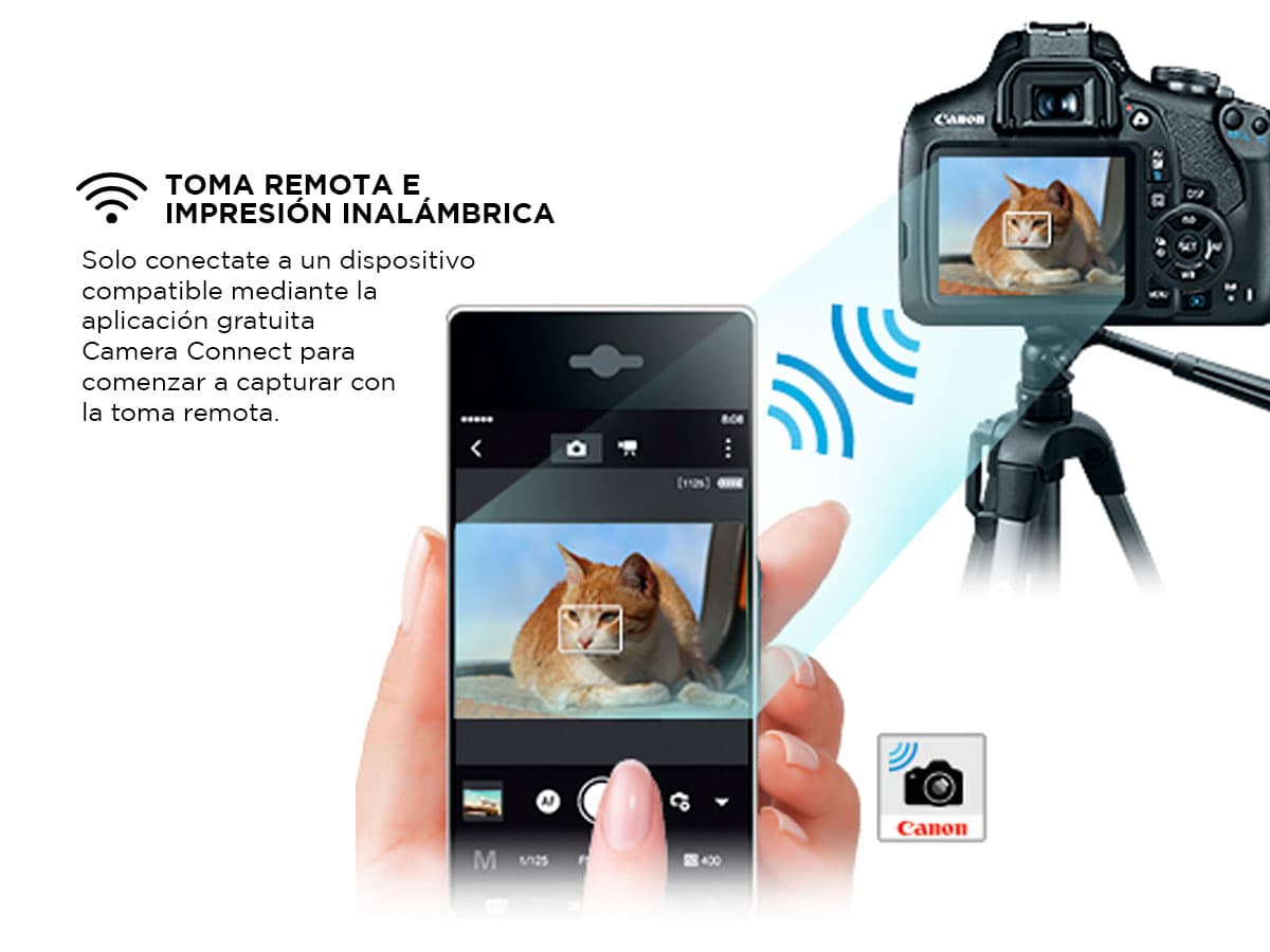 Imagen 5 del producto