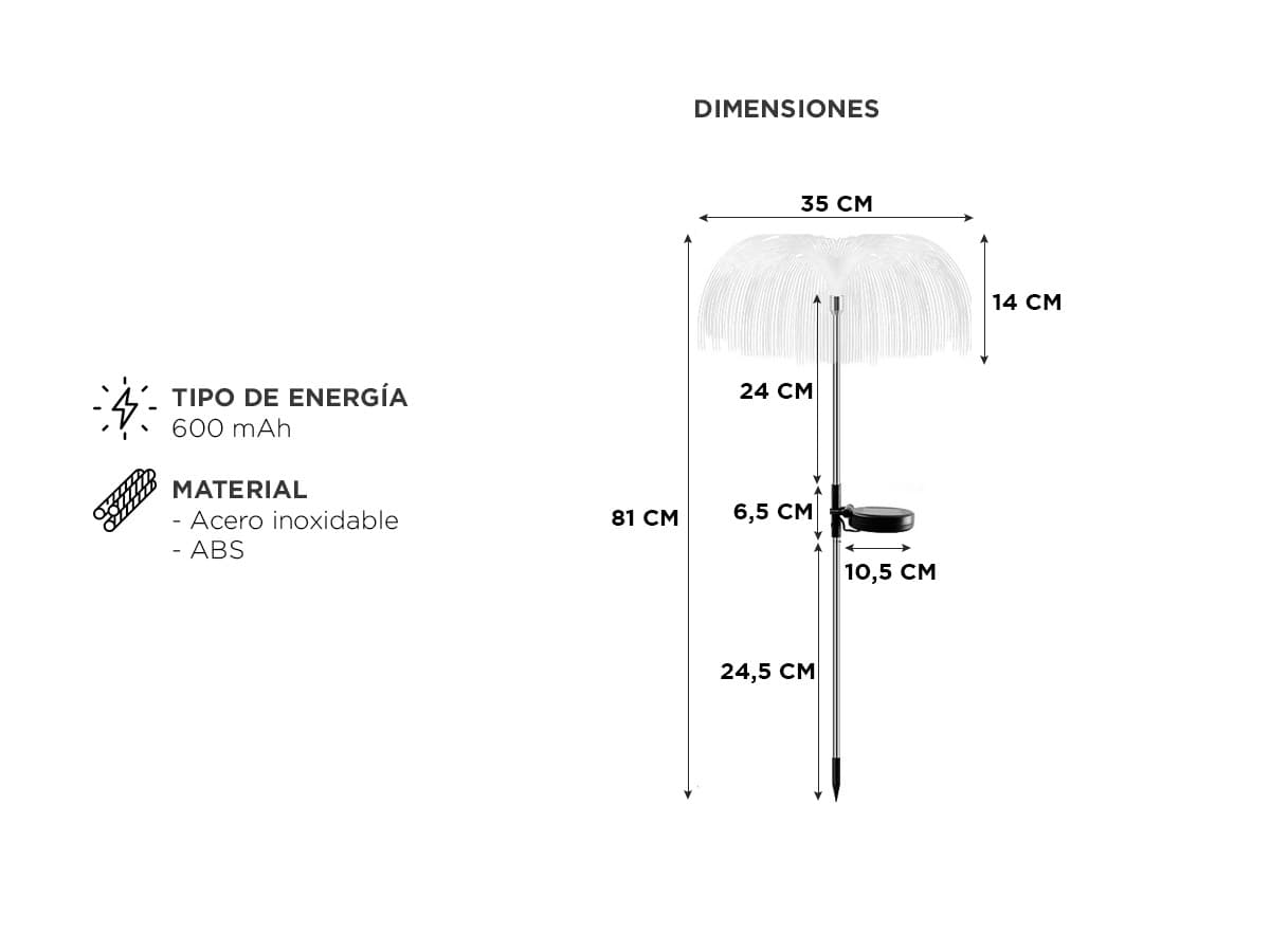 Imagen 5 del producto