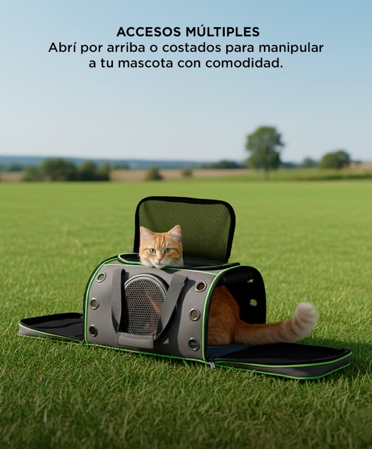 Imagen 4 del producto