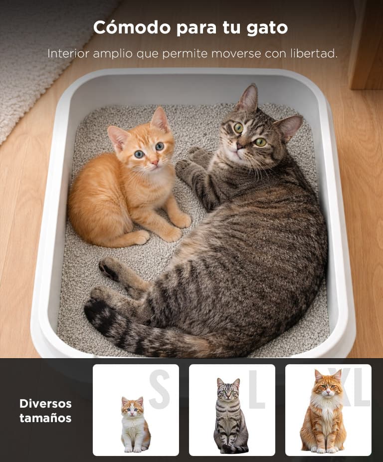 Imagen 5 del producto