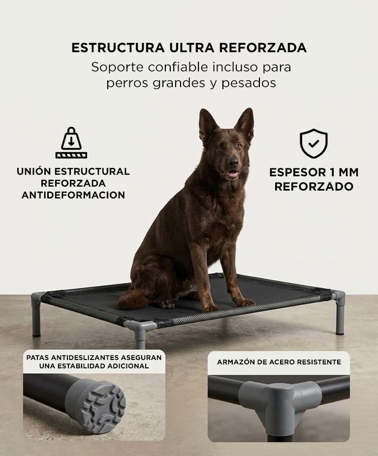 Imagen 3 del producto
