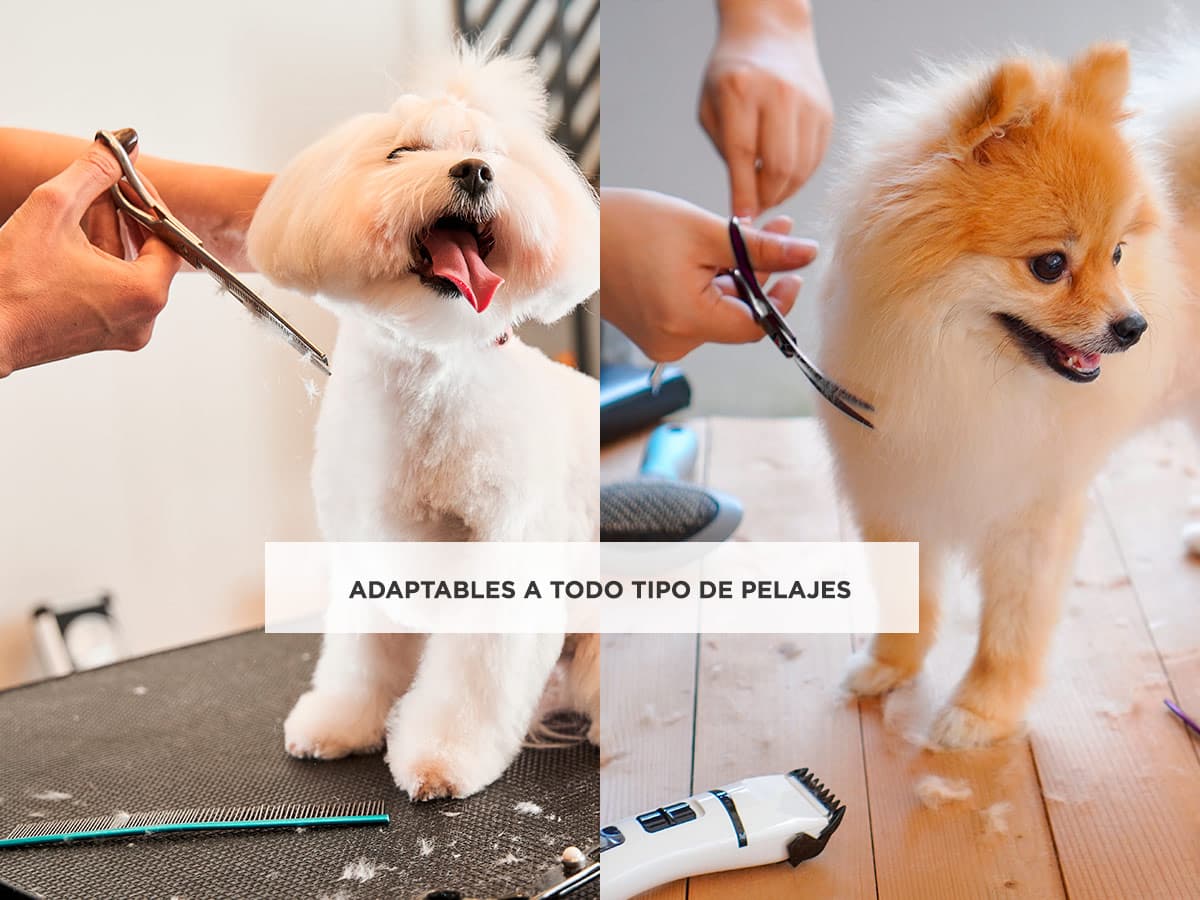 Imagen 4 del producto