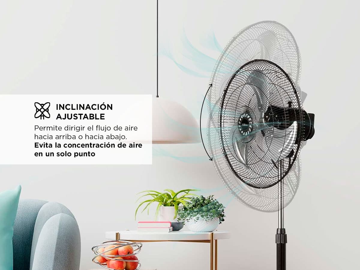 Imagen 3 del producto